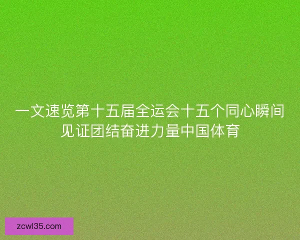 一文速览第十五届全运会十五个同心瞬间见证团结奋进力量中国体育