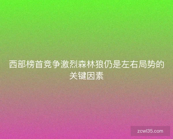西部榜首竞争激烈森林狼仍是左右局势的关键因素