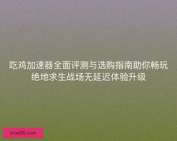 吃鸡加速器全面评测与选购指南助你畅玩绝地求生战场无延迟体验升级