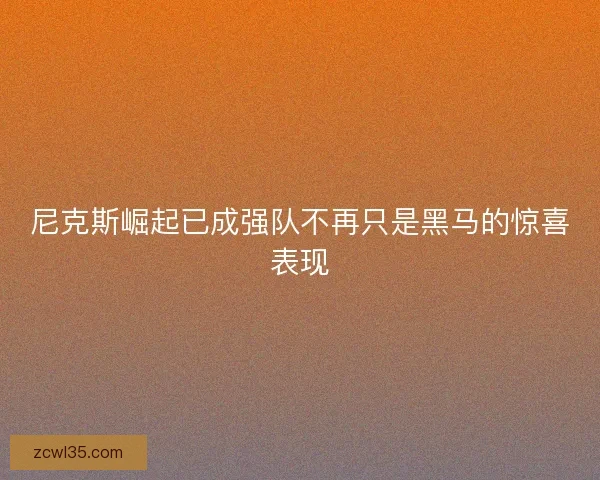 尼克斯崛起已成强队不再只是黑马的惊喜表现